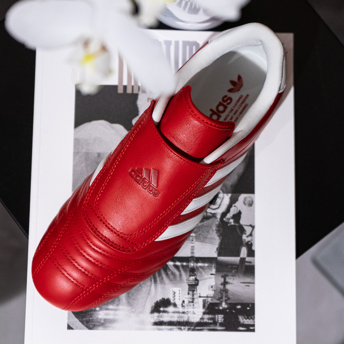 Taekwondo - Scarlet Red