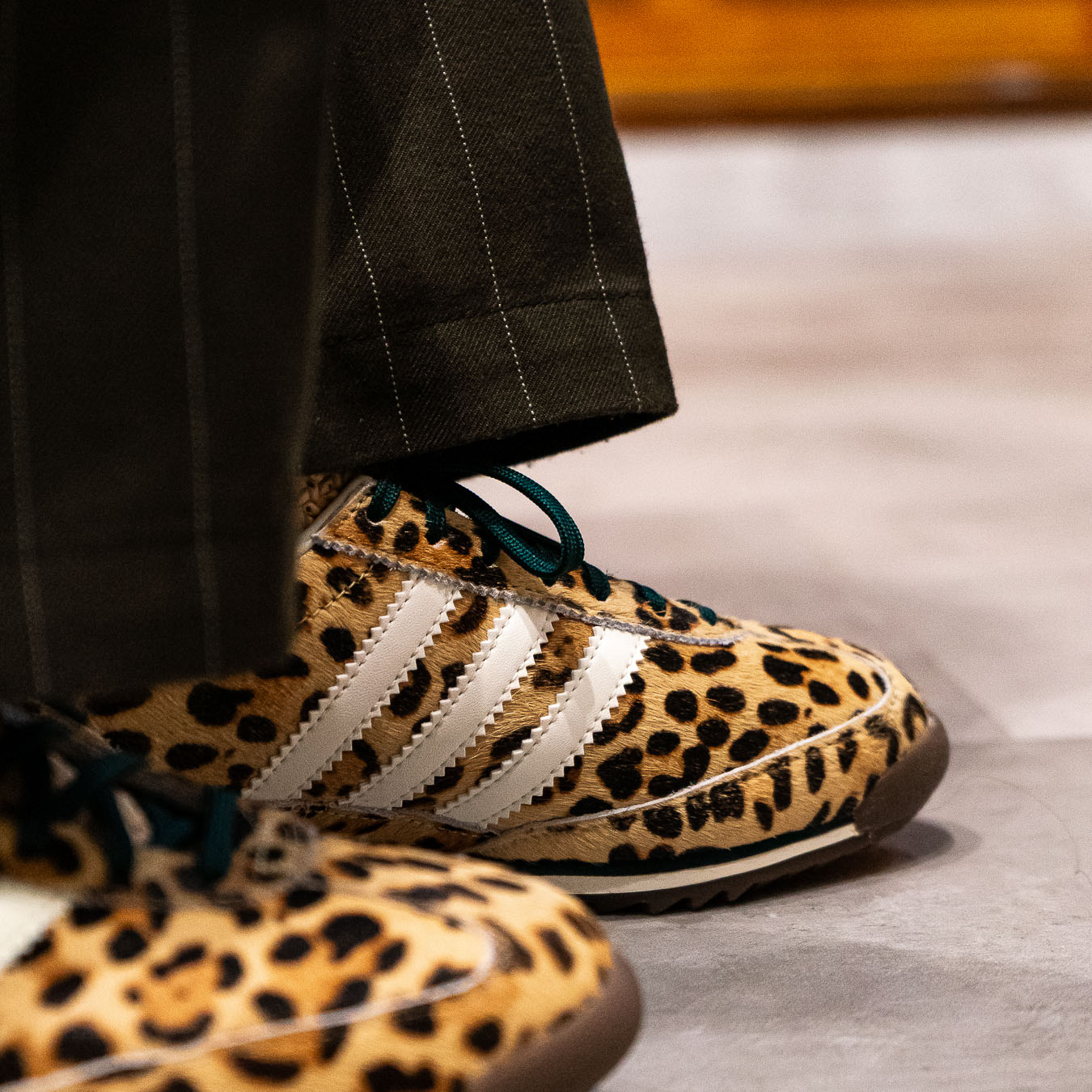 SL 72 - Leopard