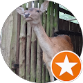 user_profile