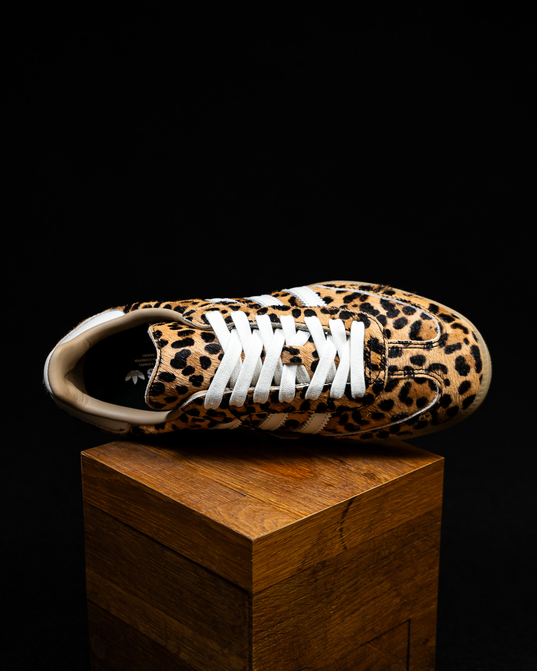 Samba - Leopard