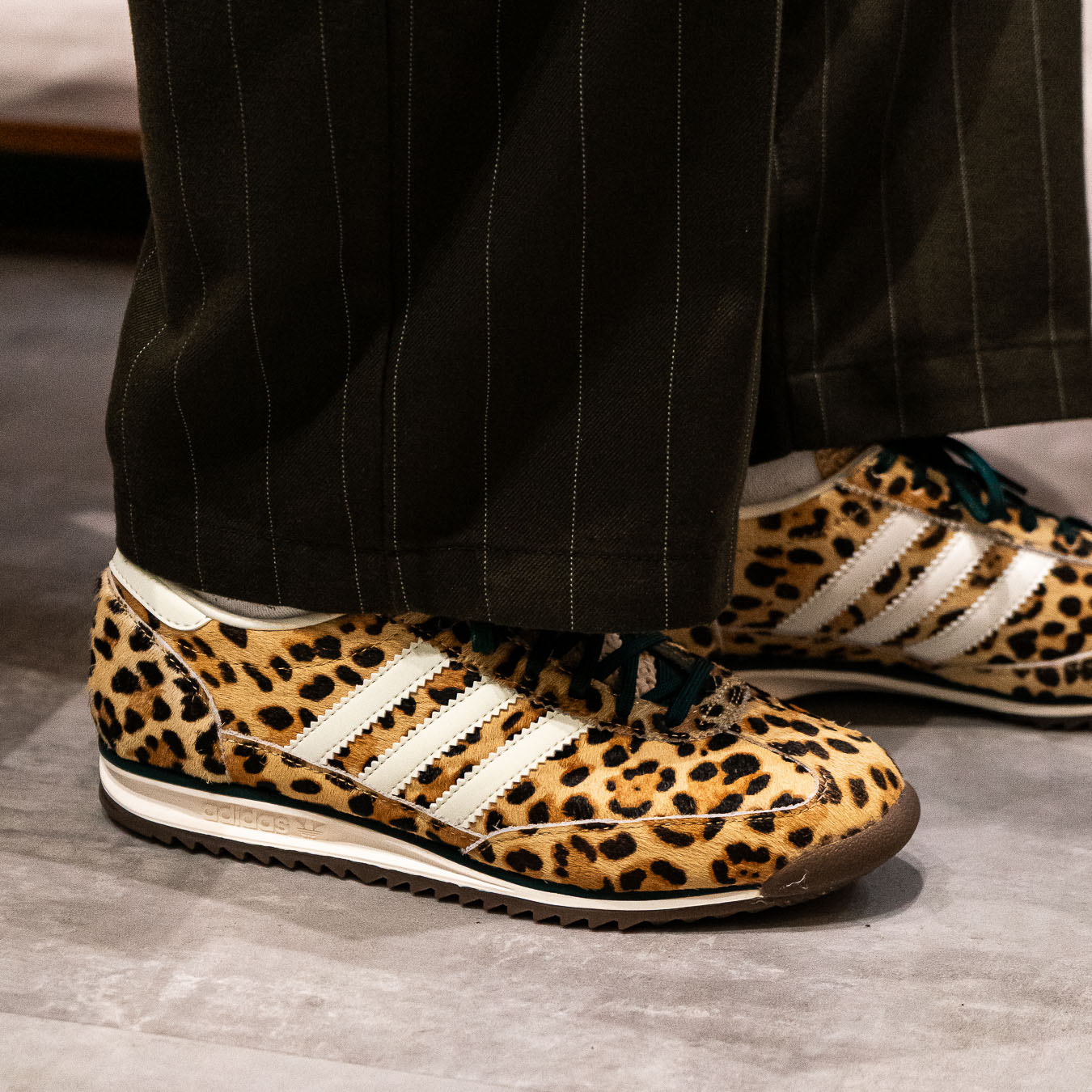 SL 72 - Leopard