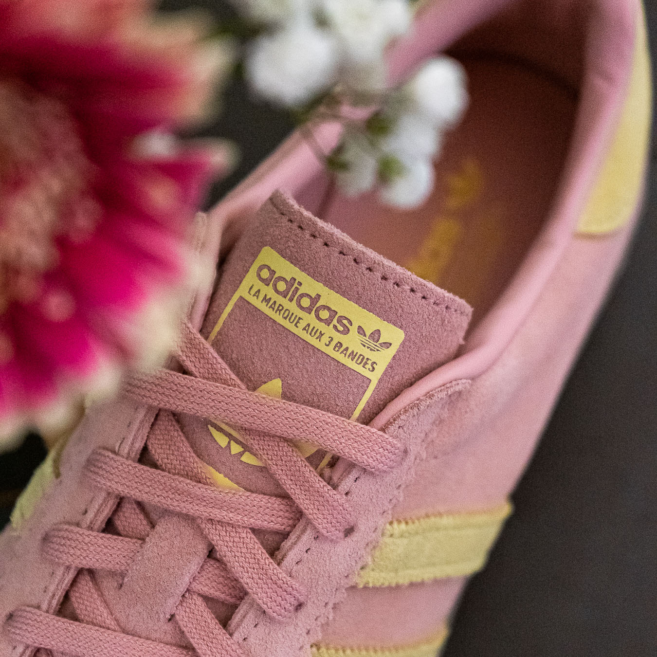 Bermuda - Wonder Mauve