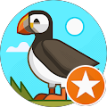 user_profile