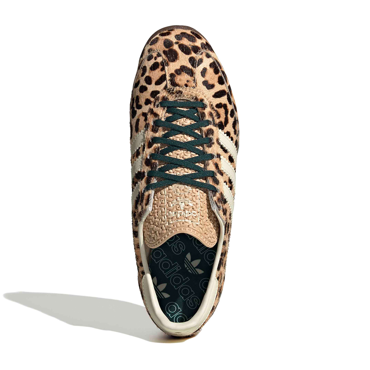 SL 72 - Leopard