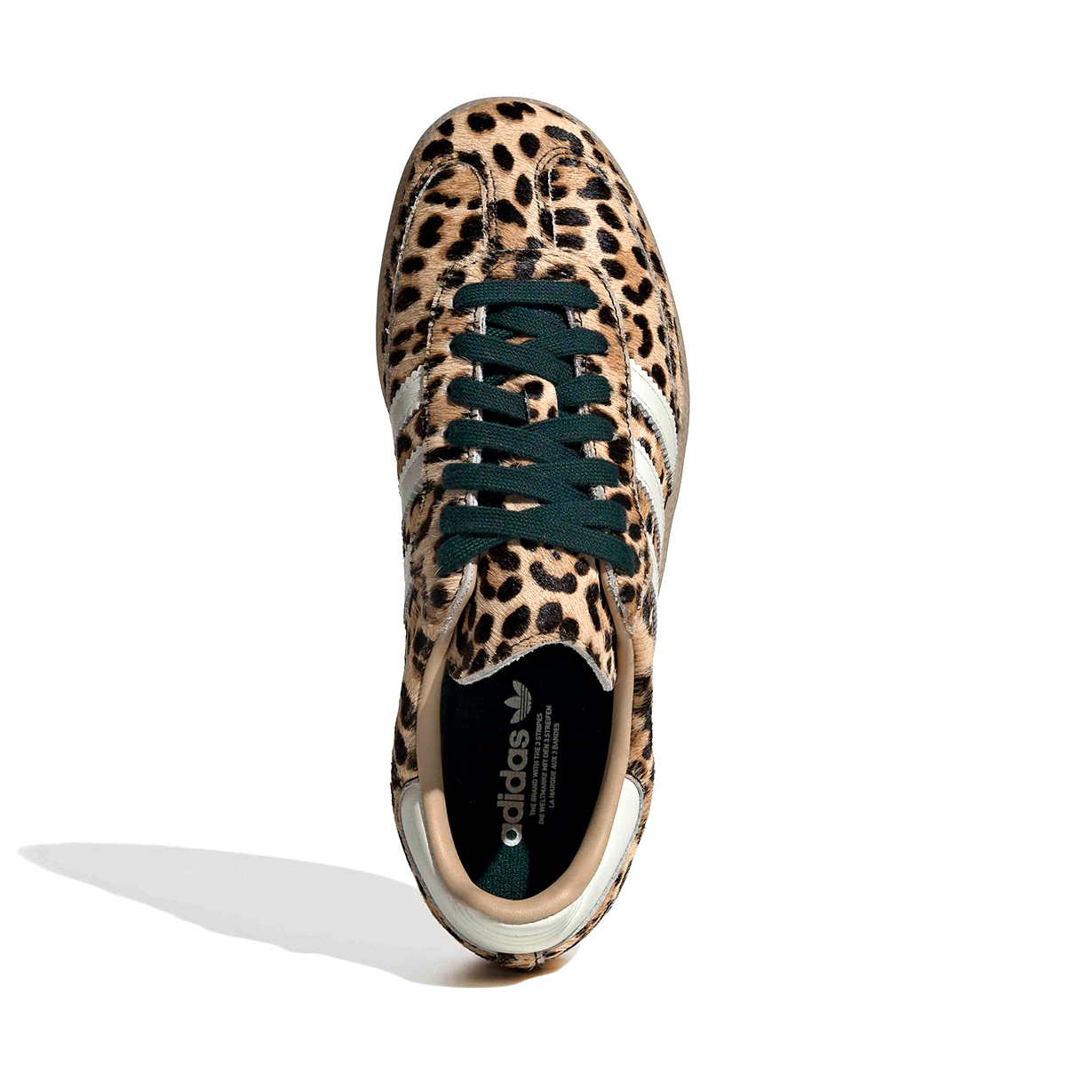 Samba - Leopard