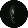 user_profile